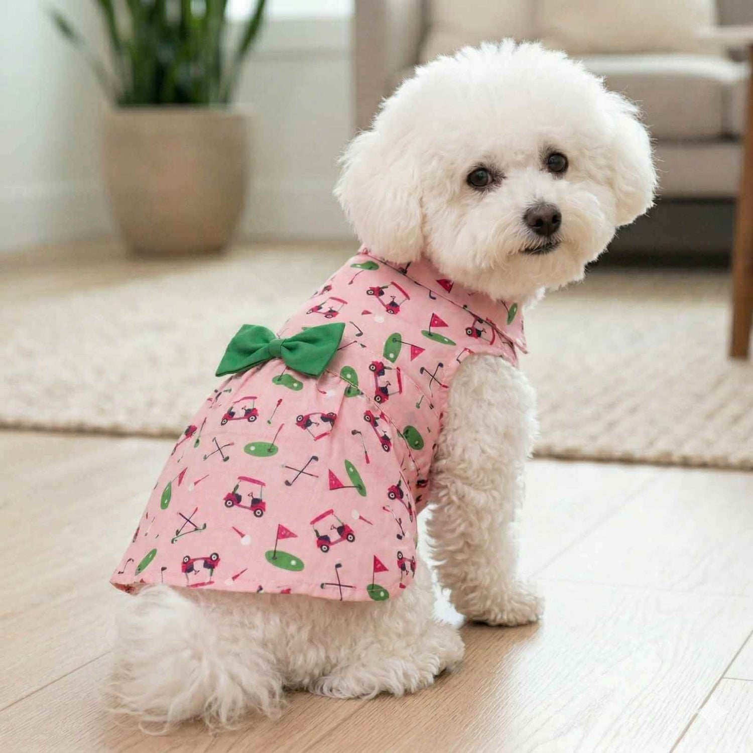 Dog Apparel