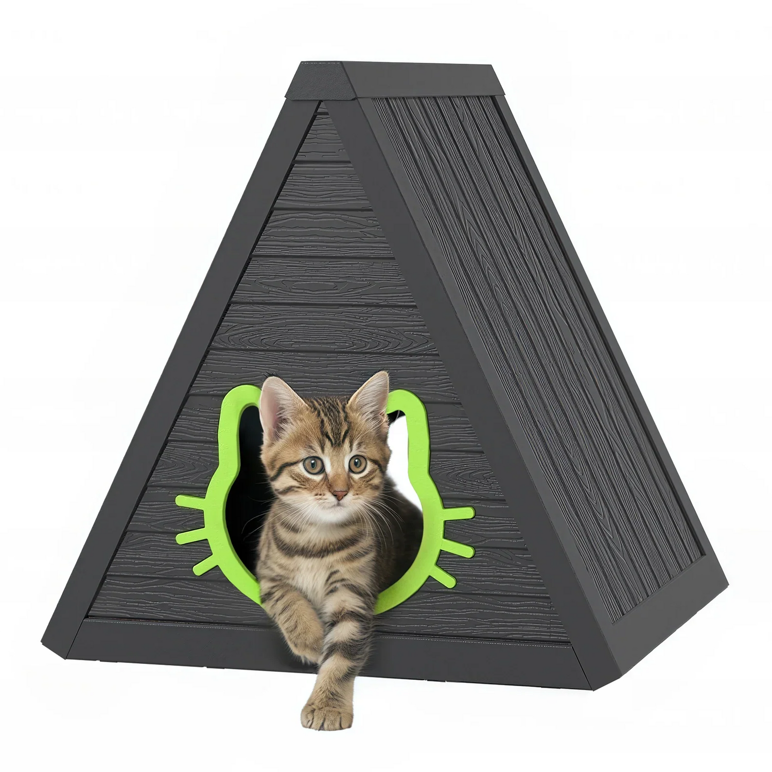 Cat Homes