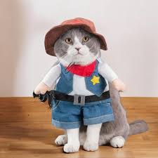 Costumes And Apparel